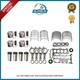 Land Rover 204dta 2.0 Diesel Discovery 5 Piston Rings With Engine Conversion Kit New
