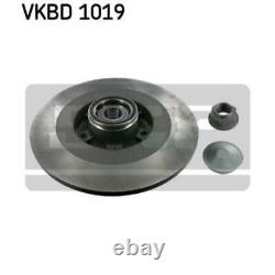 SKF 2x Bremsscheiben Voll VKBD 1019